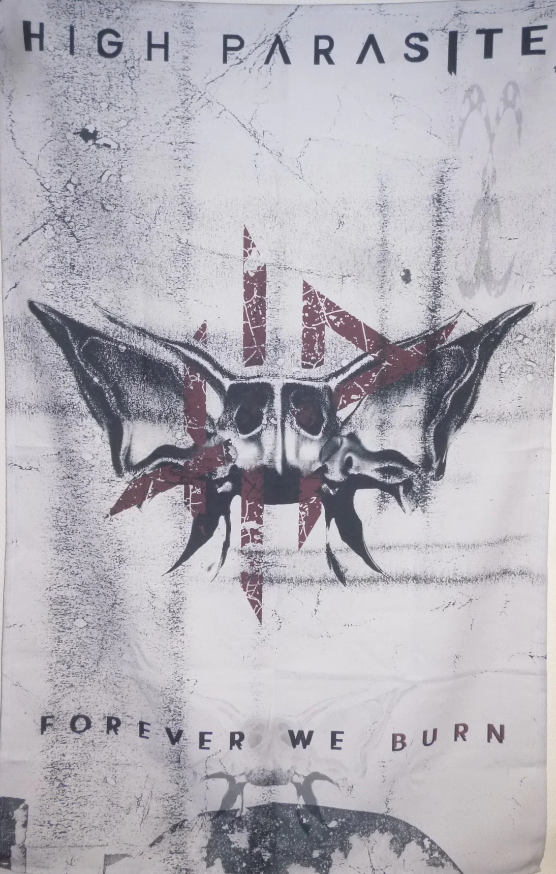 High Parasite | Forever We Burn Flag - Image 2