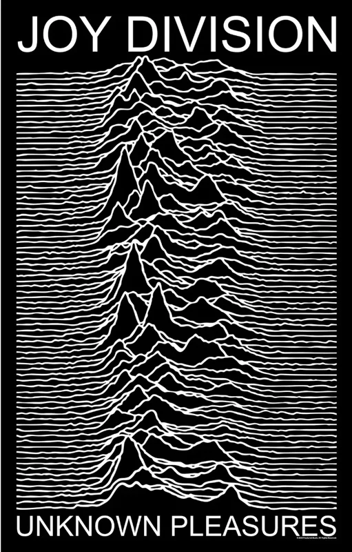Joy Division | Unknown Pleasures Flag