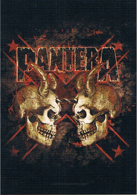 Pantera | Double Skull Flag