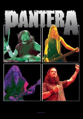 Pantera | Band Frames Flag