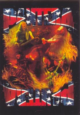 Pantera | Band South Flag