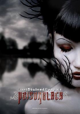 Poison Black | Lust Stained Despair Flag
